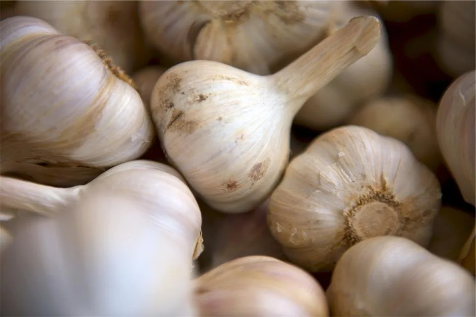 4 Pantry Solutions for Toothache Relief While You Wait for the Dentist